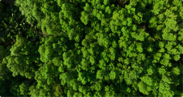 À propos de la durabilité environnementale